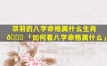 项羽的八字命格属什么生肖 🐒 「如何看八字命格属什么」